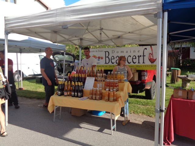 1 Epinette harmonies, patois (27) (Small)