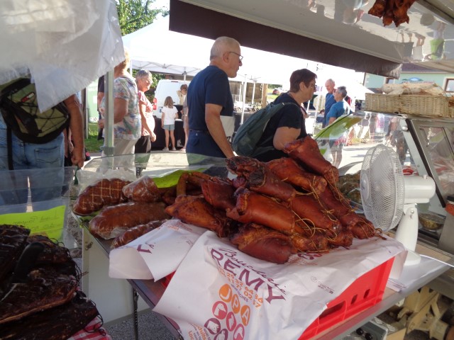 1 Epinette harmonies, patois (30) (Small)