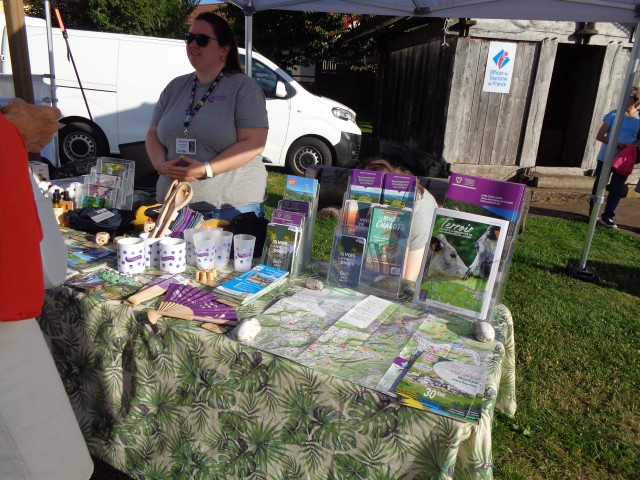 1 Epinette harmonies, patois (34) (Small)