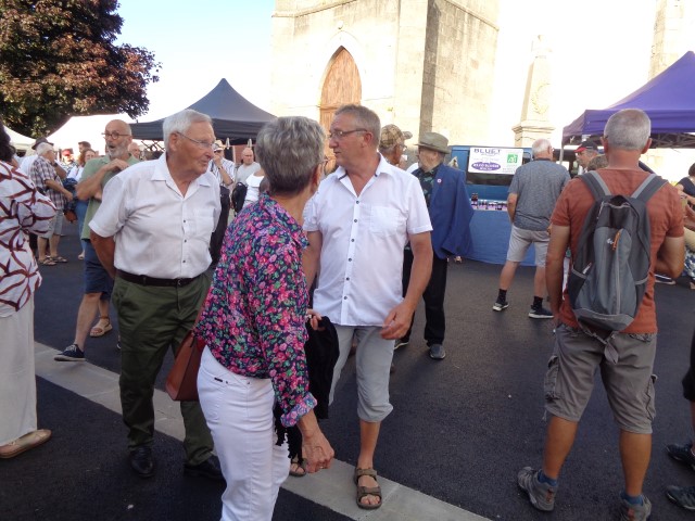 1 Epinette harmonies, patois (46) (Small)