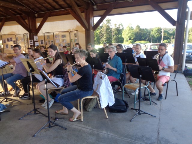 1 Epinette harmonies, patois (61) (Small)