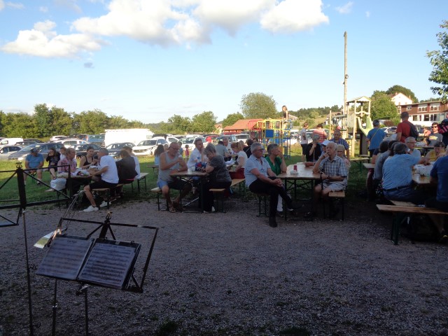 1 Epinette harmonies, patois (62) (Small)