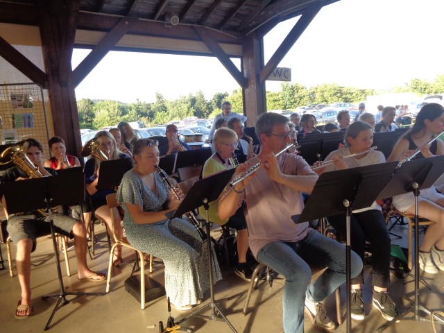 1 Epinette harmonies, patois (63) (Small)