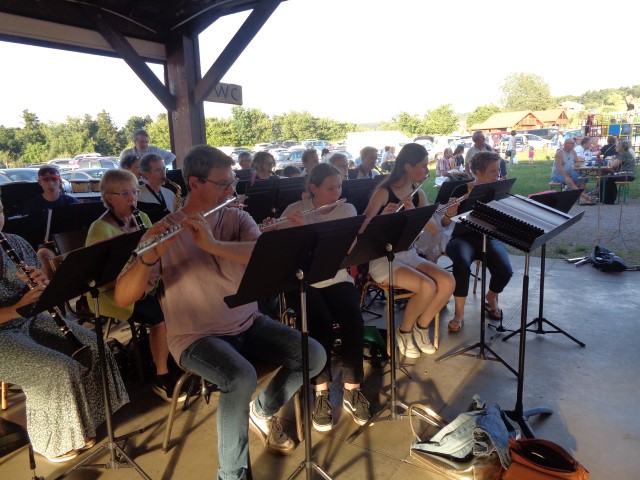 1 Epinette harmonies, patois (64) (Small)