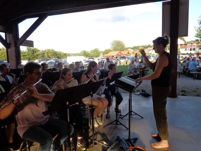 1 Epinette harmonies, patois (65) (Small)