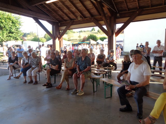 1 Epinette harmonies, patois (66) (Small)