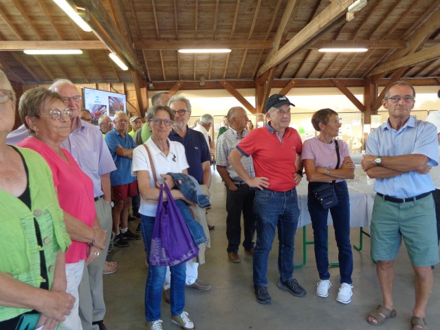 1 Epinette harmonies, patois (70) (Small)