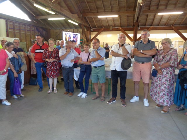 1 Epinette harmonies, patois (77) (Small)