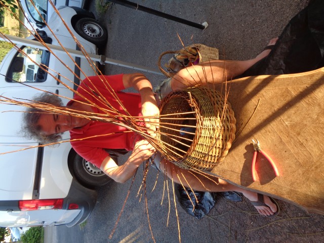 1 Epinette harmonies, patois (90) (Small)