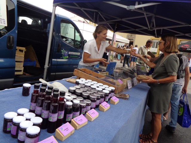 1 Epinette harmonies, patois (108) (Small)