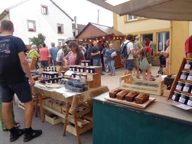 1 Epinette harmonies, patois (115) (Small)