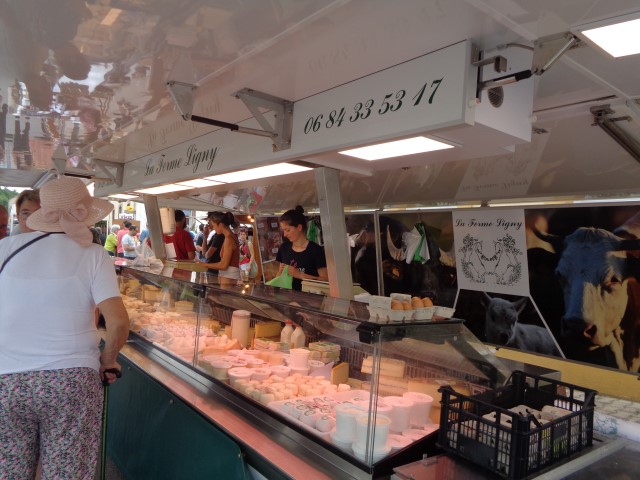 1 Epinette harmonies, patois (113) (Small)