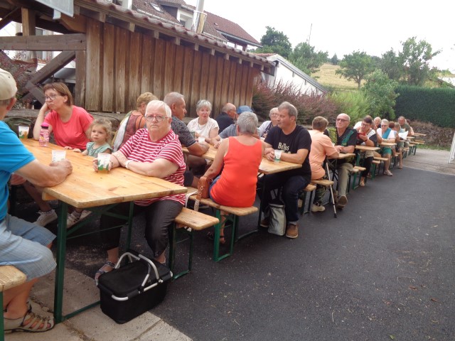 1 Epinette harmonies, patois (121) (Small)