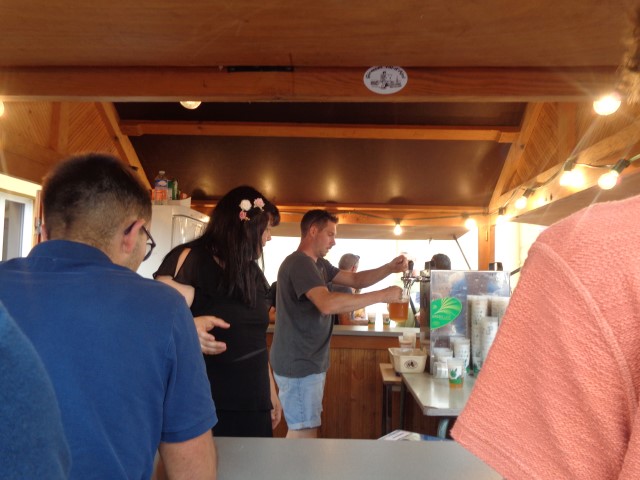 1 Epinette harmonies, patois (123) (Small)