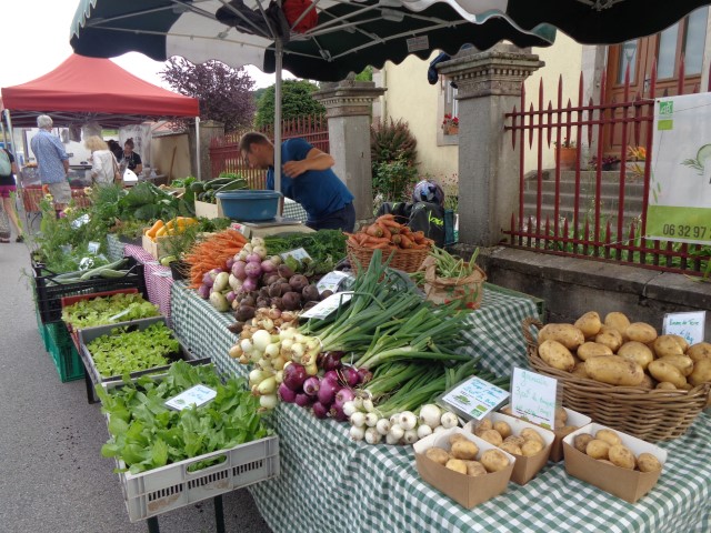 1 Epinette harmonies, patois (126) (Small)