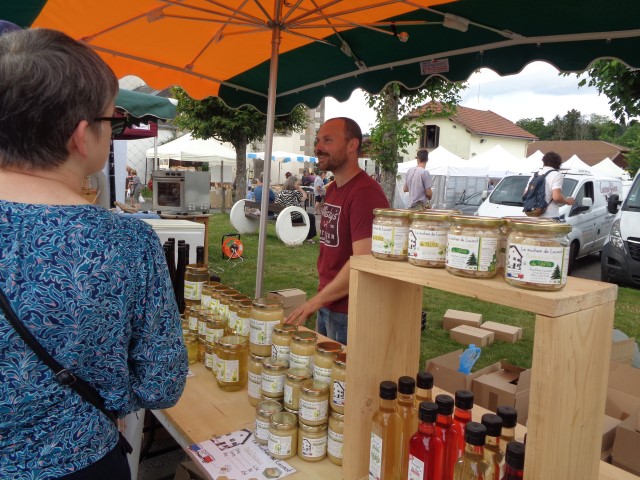 1 Epinette harmonies, patois (131) (Small)