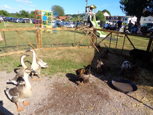 4 Broderie filage animaux (23) (Small)