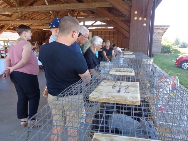 4 Broderie filage animaux (31) (Small)