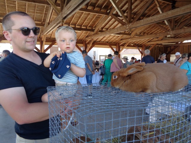 4 Broderie filage animaux (33) (Small)