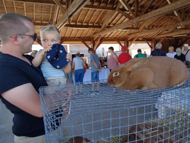 4 Broderie filage animaux (34) (Small)