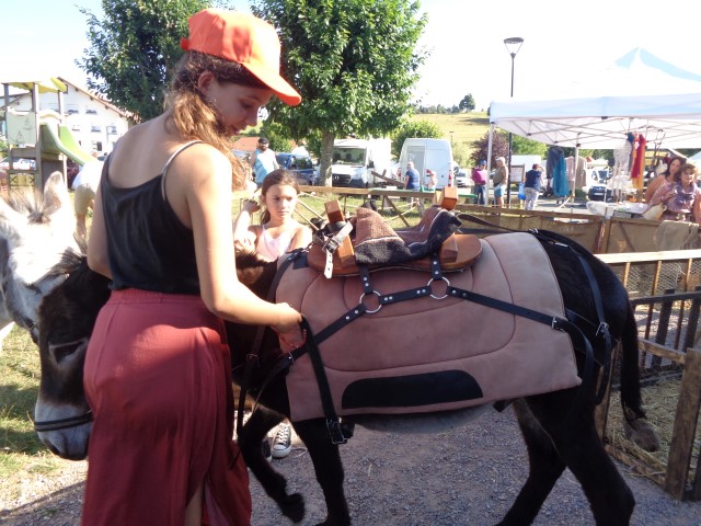 4 Broderie filage animaux (48) (Small)