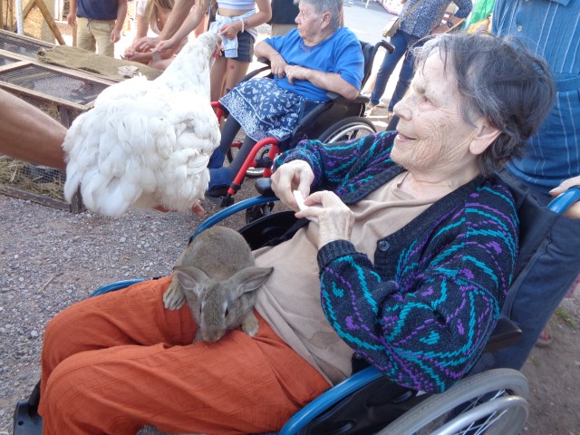 4 Broderie filage animaux (50) (Small)