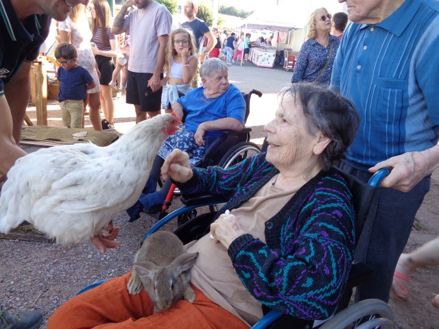 4 Broderie filage animaux (51) (Small)