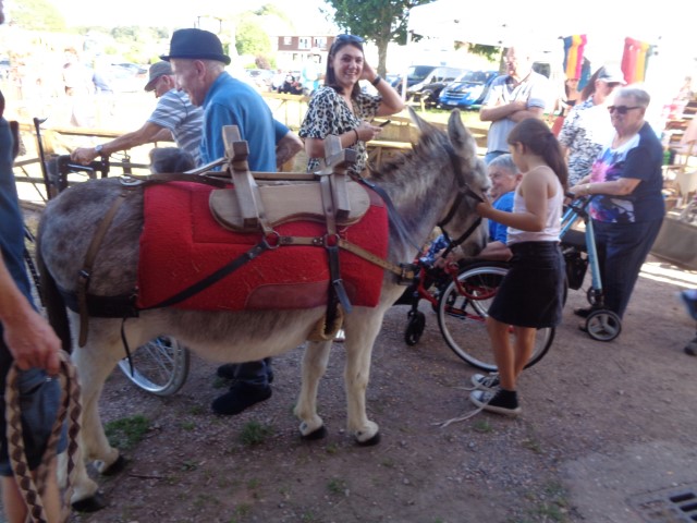 4 Broderie filage animaux (60) (Small)