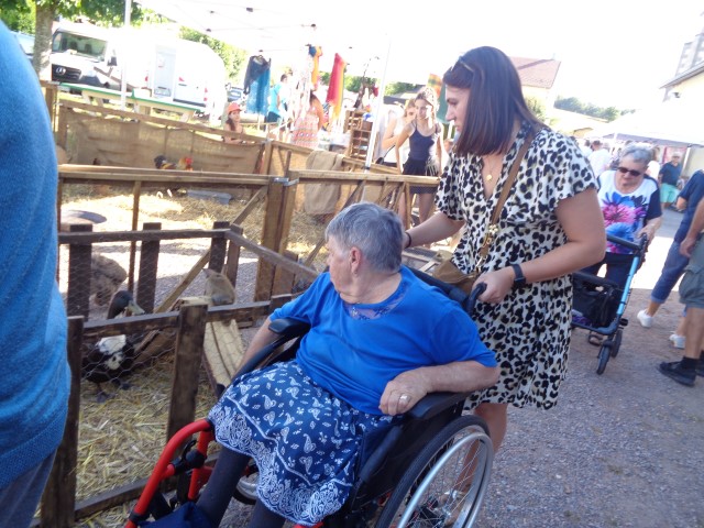 4 Broderie filage animaux (62) (Small)