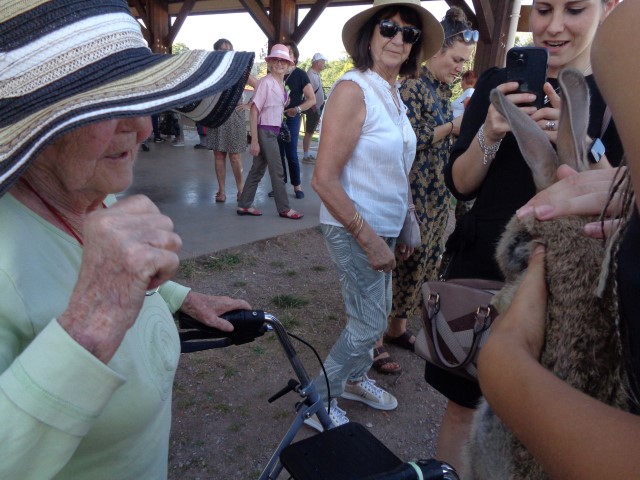 4 Broderie filage animaux (65) (Small)