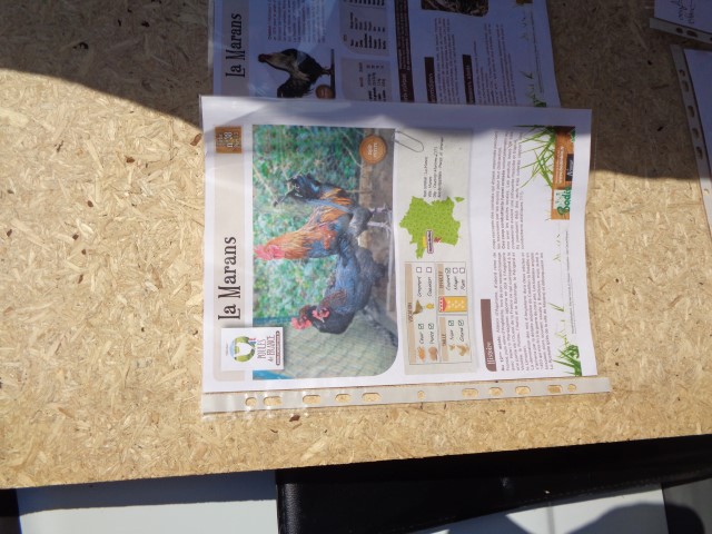 4 Broderie filage animaux (70) (Small)