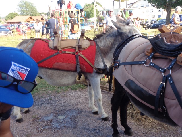 4 Broderie filage animaux (85) (Small)