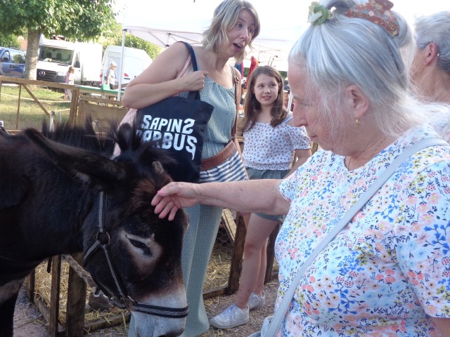 4 Broderie filage animaux (86) (Small)