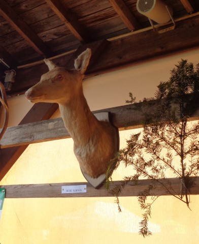 5 La chasse et la nature (6) (Small)