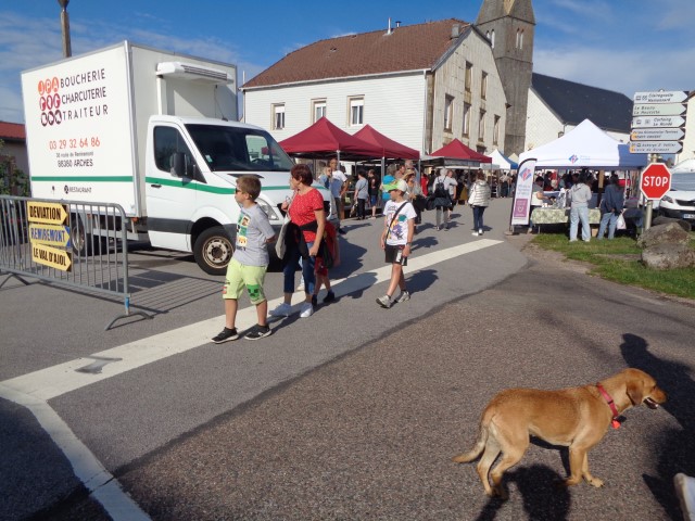 5 La chasse et la nature (11) (Small)