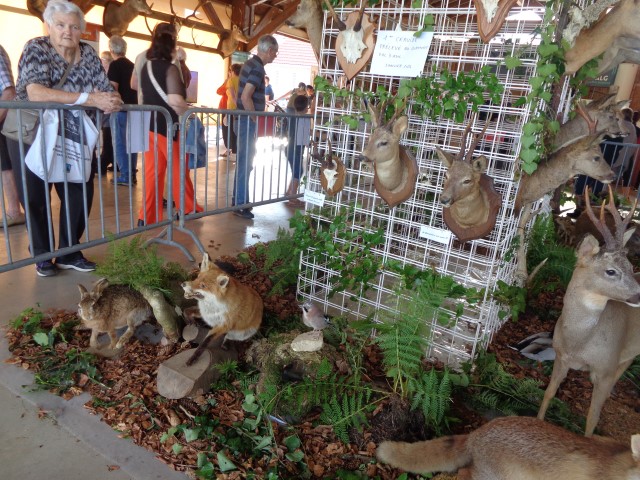 5 La chasse et la nature (21) (Small)