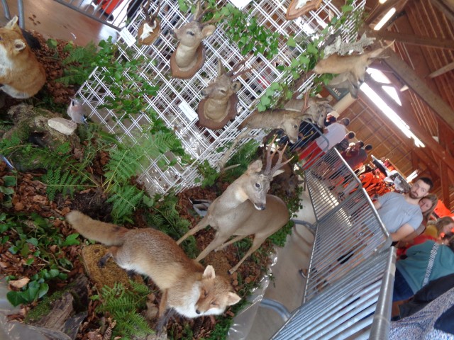 5 La chasse et la nature (22) (Small)