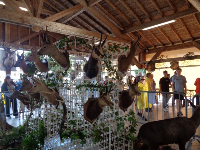 5 La chasse et la nature (29) (Small)