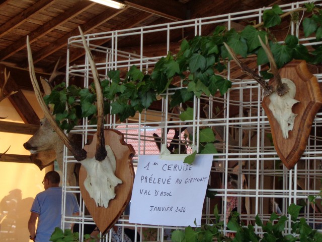 5 La chasse et la nature (31) (Small)