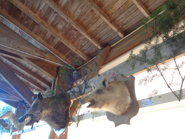 5 La chasse et la nature (40) (Small)