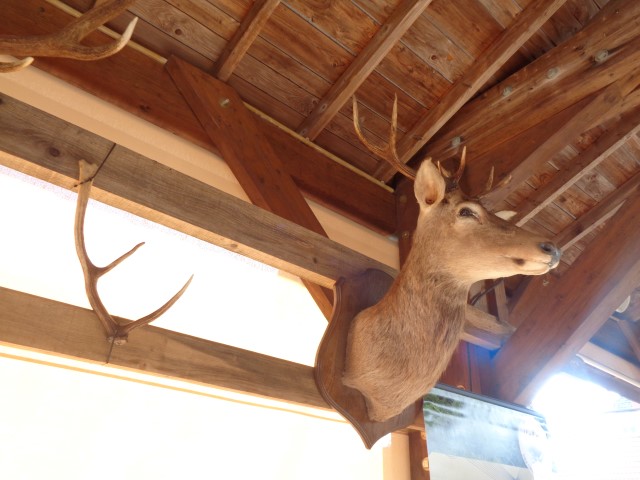 5 La chasse et la nature (42) (Small)