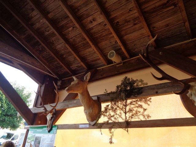 5 La chasse et la nature (45) (Small)