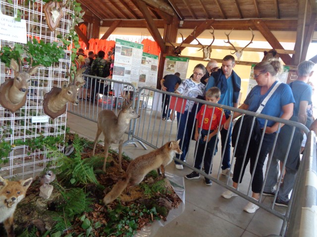 5 La chasse et la nature (47) (Small)