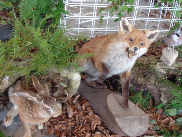 5 La chasse et la nature (48) (Small)