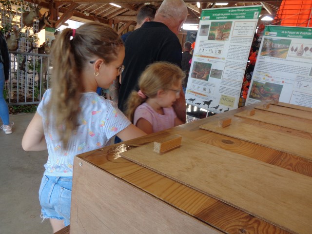 5 La chasse et la nature (51) (Small)