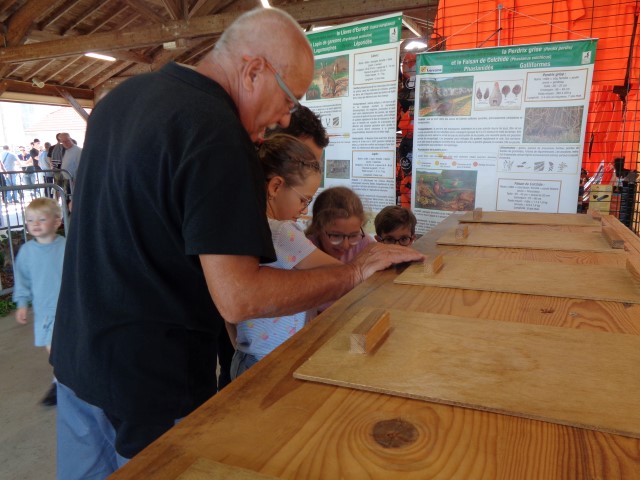 5 La chasse et la nature (52) (Small)