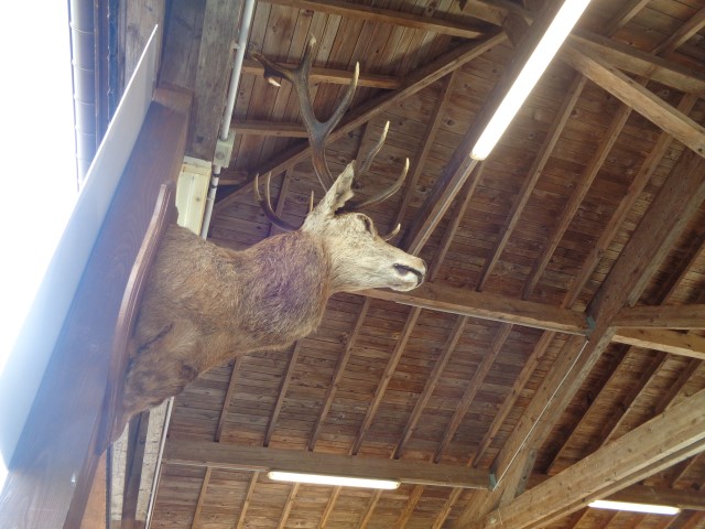 5 La chasse et la nature (56) (Small)