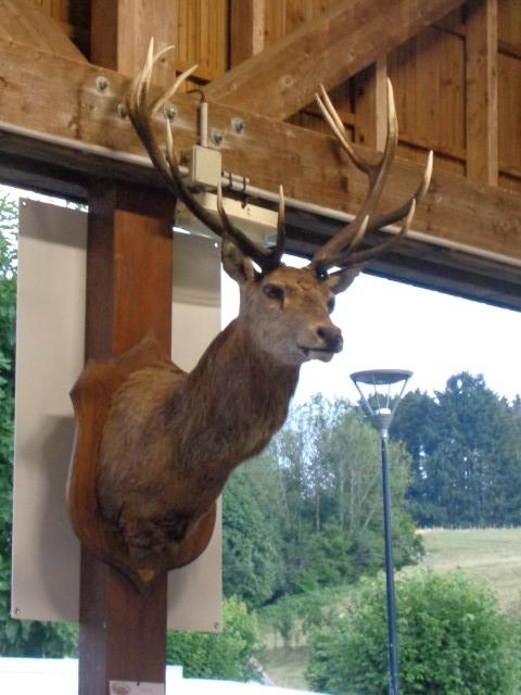 5 La chasse et la nature (98) (Small)