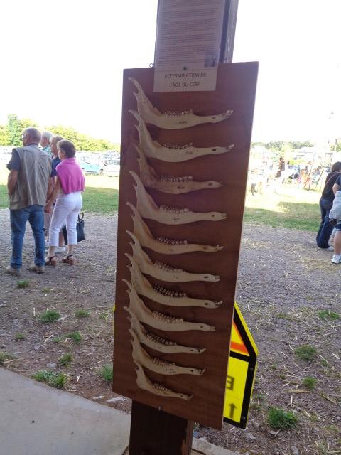 5 La chasse et la nature (20) (Small)