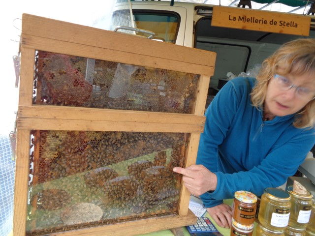 6 Marche d ete bluet plantes miel escargot (9) (Small)